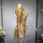 Long sleeve sheer mesh rhinestone fringe bodysuit sequin leotard for showgirl performance - 38416941383863 - 38416941383863