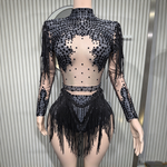 Sequin embellished sheer mesh fringe bodysuit rhinestone stage dance wear - 38416942301367 - 38416942301367