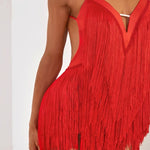 Fringe Dress Dance Costume - Sleeveless Backless Latin Dresses with Fringe for Salsa Samba Tango Rumba - DancerInn - 34357724020919 - 34357724020919