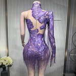 Sheer mesh rhinestone fringe leotard long sleeve showgirl performance outfit - 38416942235831 - 38416942235831