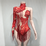 Sheer mesh sequin rhinestone fringe bodysuit stage performance show outfit - 38416942071991 - 38416942071991
