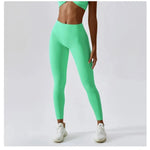 Women Athletic High Waist Leggings Seamless Yoga Gym Tights Stretchy Fitness Activewear Pants - DancerInn - 26954849484983 - 26954849484983