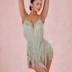 Fringe Dress Dance Costume - Sleeveless Backless Latin Dresses with Fringe for Salsa Samba Tango Rumba - DancerInn - 34357723824311 - 34357723824311