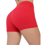 Women High Waist Elastic Breathable Seamless Dance Shorts Biker Fitness Shorts - DancerInn - 26394936180919 - 26394936180919