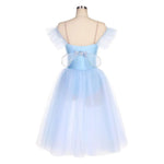 Professional Ballet Dresses for Women and Girls - Elegant Long Tulle Tutus - DancerInn - 26343461486775 - 26343461486775