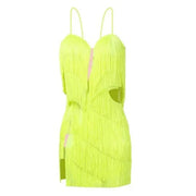 Women Rich Fringe Tassel Back Rumba Chacha Latin Dance Dress - DancerInn
