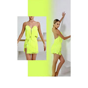Women Rich Fringe Tassel Back Rumba Chacha Latin Dance Dress - DancerInn