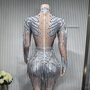 Sheer mesh sequin rhinestone fringe leotard women showgirl dance costume