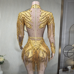 Sparkly sheer mesh rhinestone fringe leotard showgirl stage performance costume - 38416942399671 - 38416942399671