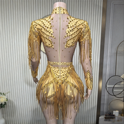 Sparkly sheer mesh rhinestone fringe leotard showgirl stage performance costume