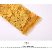 Women Hidden Zipper Flower Pattern Long Sleeves Ballroom Standard Waltz Dress Tango Costume Lace Dressing Gown - DancerInn