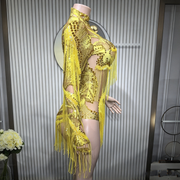 Back view rhinestone fringe sheer mesh bodysuit stage dance costume
