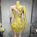 Rhinestone fringe sheer mesh leotard showgirl performance costume - 38416942006455 - 38416942006455
