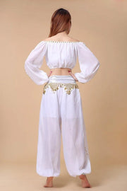 Stylish Indian Belly Dance Set Chiffon Long Sleeves Top and Lantern Coins Pants - DancerInn