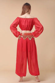 Stylish Indian Belly Dance Set Chiffon Long Sleeves Top and Lantern Coins Pants - DancerInn