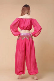 Stylish Indian Belly Dance Set Chiffon Long Sleeves Top and Lantern Coins Pants - DancerInn
