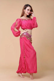Stylish Indian Belly Dance Set Chiffon Long Sleeves Top and Lantern Coins Pants - DancerInn