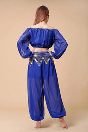 Stylish Indian Belly Dance Set Chiffon Long Sleeves Top and Lantern Coins Pants - DancerInn