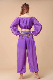 Stylish Indian Belly Dance Set Chiffon Long Sleeves Top and Lantern Coins Pants - DancerInn