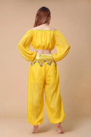 Stylish Indian Belly Dance Set Chiffon Long Sleeves Top and Lantern Coins Pants - DancerInn