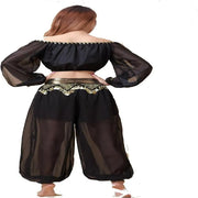 Stylish Indian Belly Dance Set Chiffon Long Sleeves Top and Lantern Coins Pants - DancerInn