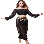 Stylish Indian Belly Dance Set Chiffon Long Sleeves Top and Lantern Coins Pants - DancerInn