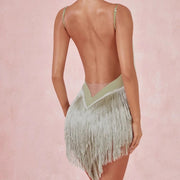 Fringe Dress Dance Costume - Sleeveless Backless Latin Dresses with Fringe for Salsa Samba Tango Rumba - DancerInn  