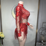 Rhinestone fringe sheer mesh bodysuit sequin showgirl stage performance wear - 38416941482167 - 38416941482167