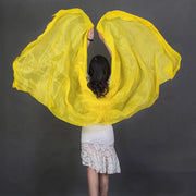 stage performance belly dance with scarf