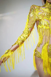 Sheer illusion mesh leotard