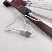 led light fans