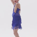 Girls Fringe Dress – Latin Tassel Tango Dance Dresses for Kids, Ideal for Salsa Performance & Ballroom Competition - 33168230219959 - 33168230219959