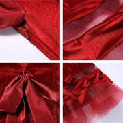 Women Korean Style Glittering Exquisite Velvet Ballroom Dance Dresses Waltzing Tango Dancewear Evening Party Dress - DancerInn